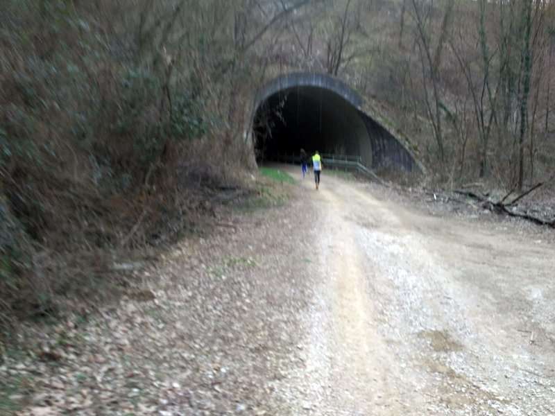 IMG-20210311-WA0007