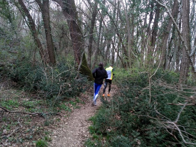 IMG-20210311-WA0012